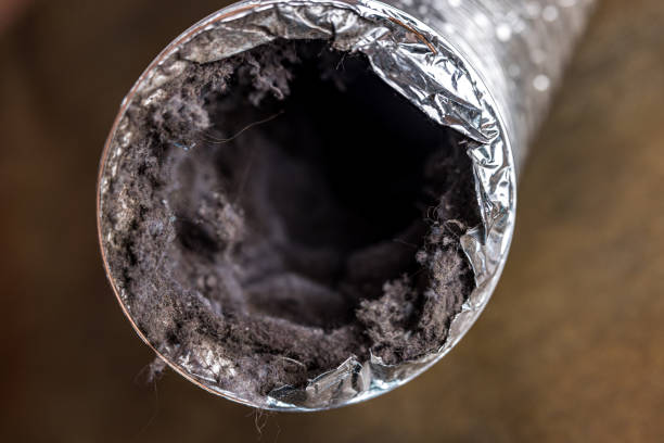 Best Home Air Vent Cleaning  in Seven Lakes, NC